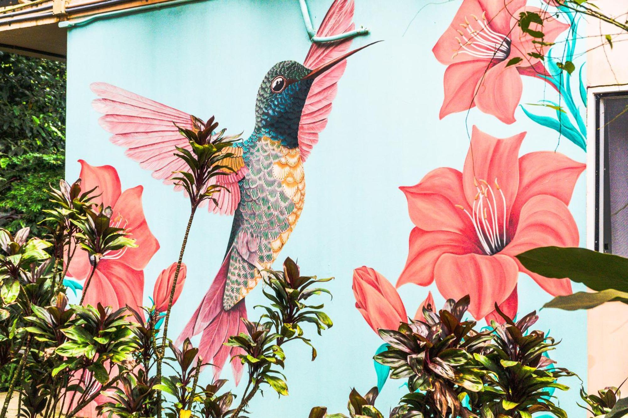 Hotel Socialtel Red Frog Bocas del Toro Exterior foto